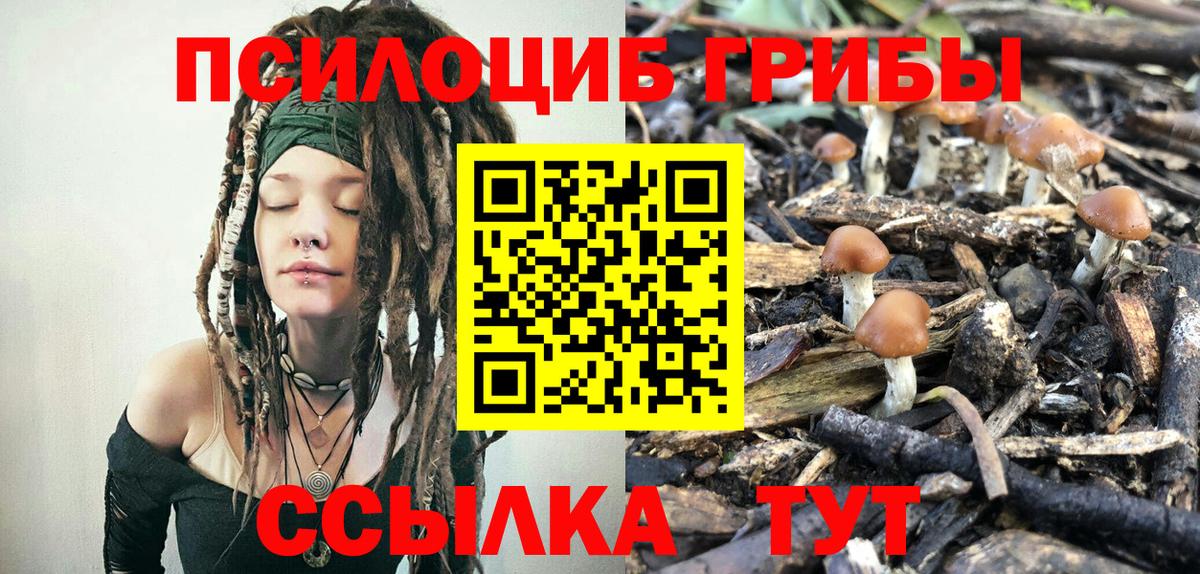 Псилоцибиновые грибы мухоморы  Вход с VPN  Похвистнево  Псилоцибиновые грибы GOLDEN TEACHER 