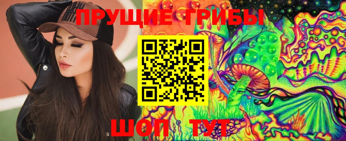 Галлюциногенные грибы Psilocybe Похвистнево