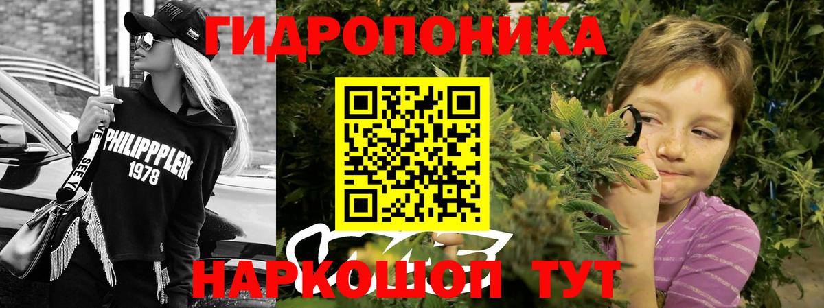 Бошки марихуана гибрид Похвистнево